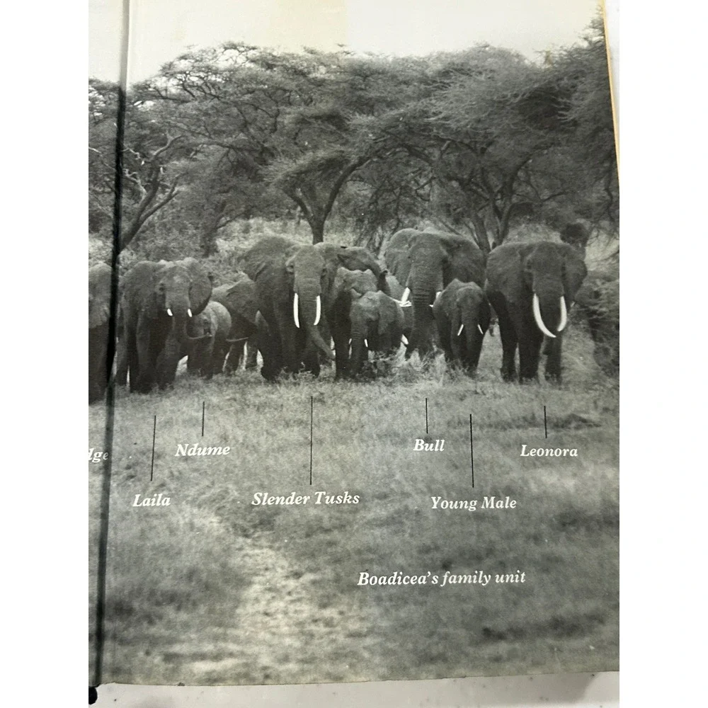 Among the Elephants Iain Oria Douglas-Hamilton 1975 Viking Press Hardcover Book
